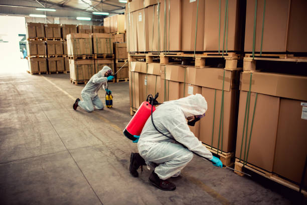 Best Mosquito Control Services  in Tiffin, OH