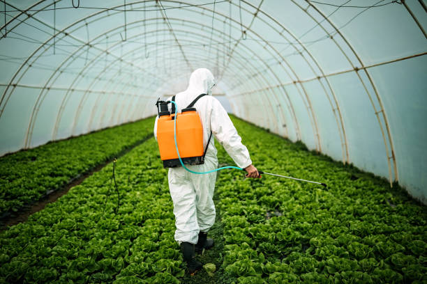 Best Pest Prevention Services  in Tiffin, OH