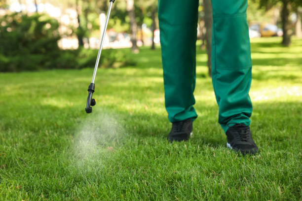 Best Best Pest Control Companies  in Tiffin, OH