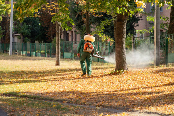 Best Best Pest Control Companies  in Tiffin, OH
