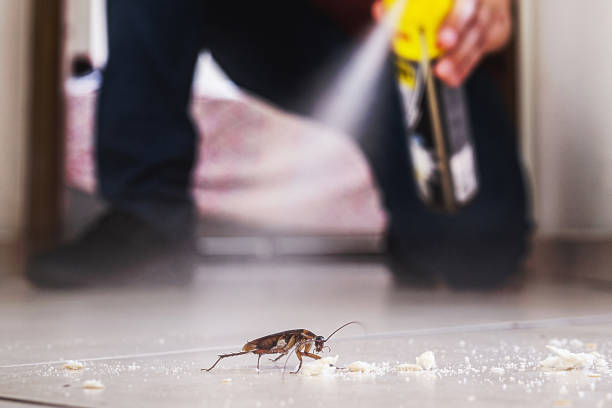 Reliable Tiffin, OH Pest Control Solutions