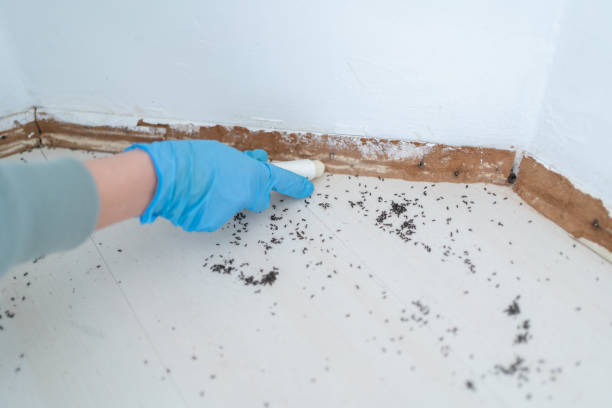 Best Best Pest Control Companies  in Tiffin, OH