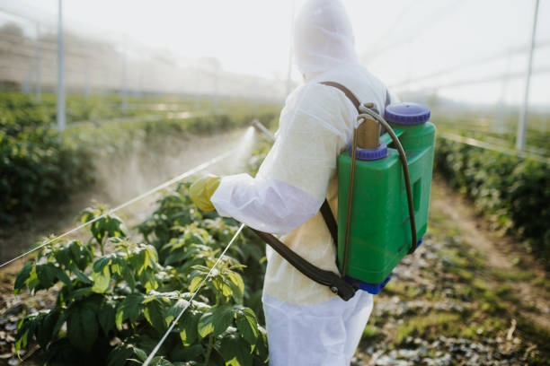 Best Affordable Exterminators  in Tiffin, OH